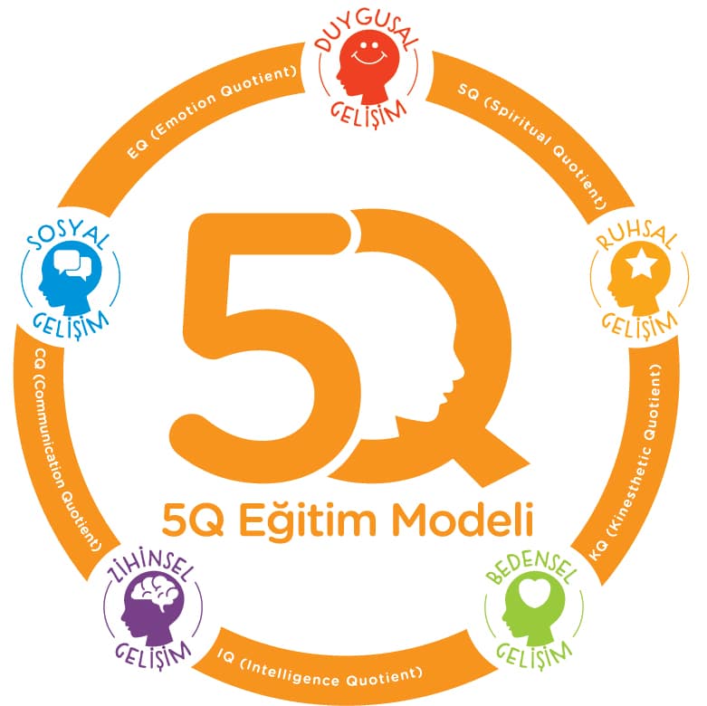 5Q Eğitim Modeli