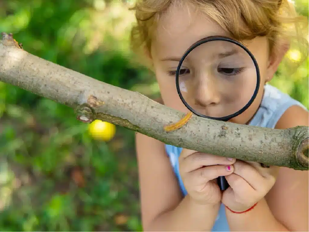 Bireysel Farklılıklar 1 Bireysel Farklılıklar